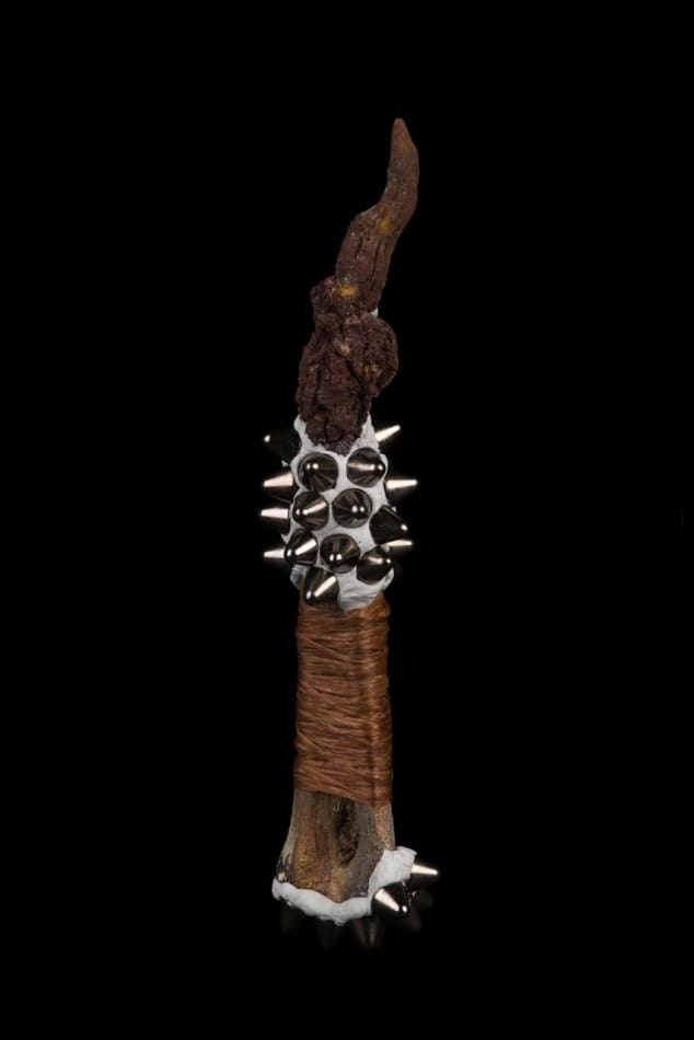 Lucien Shapiro, Coprolites Protection Shank, 2017