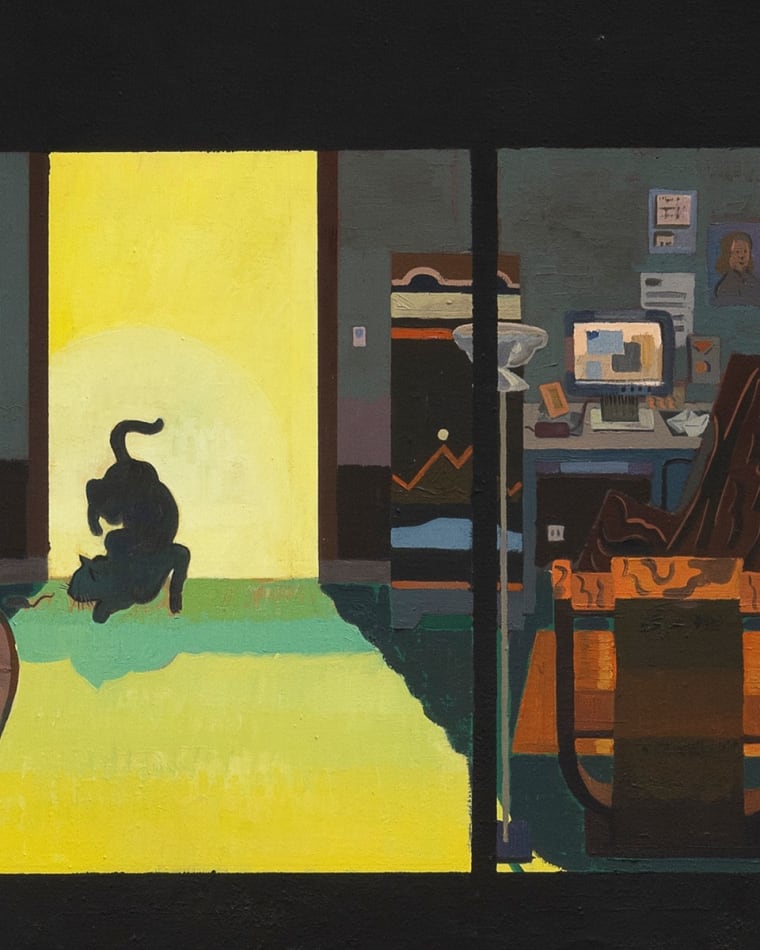 a cat illuminated in an interior space