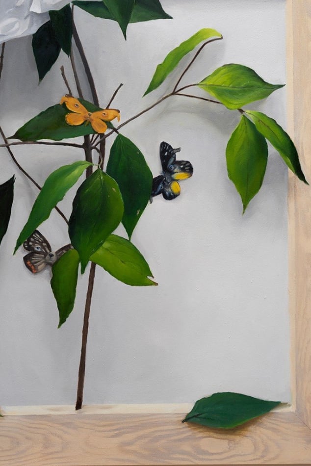 detail view of dog butterfly