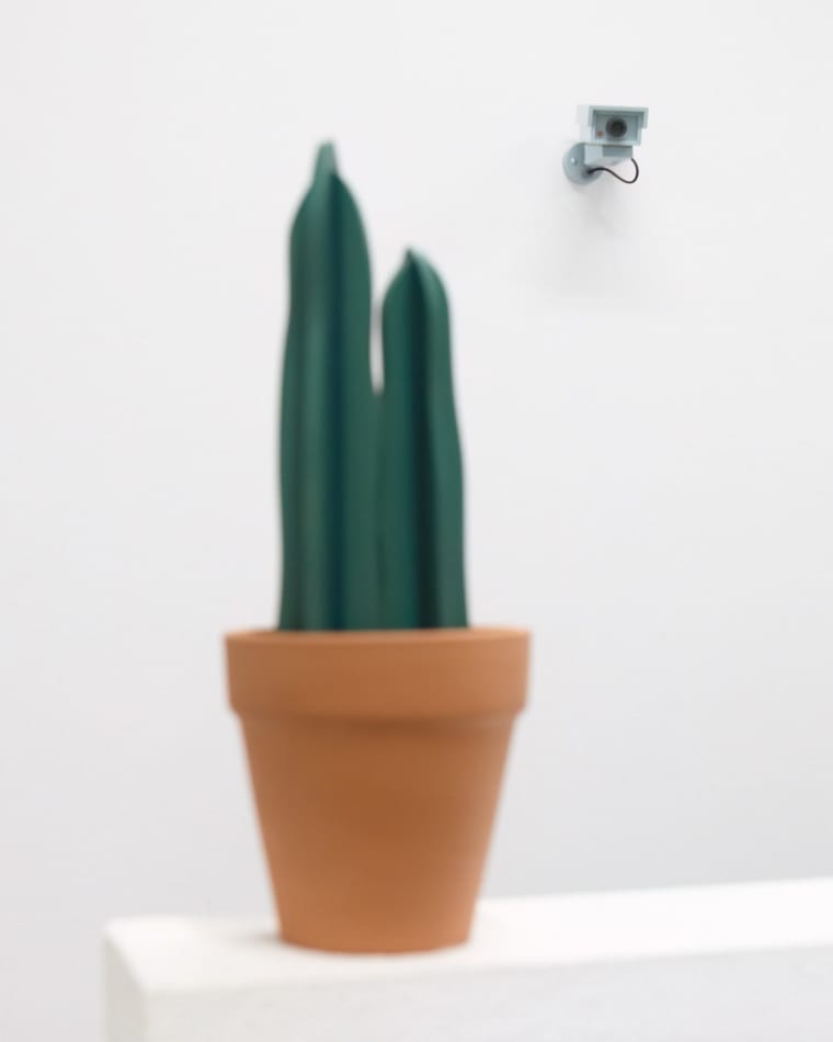 Jeff Canham wooden sculpture of cactus in terra cotta pot