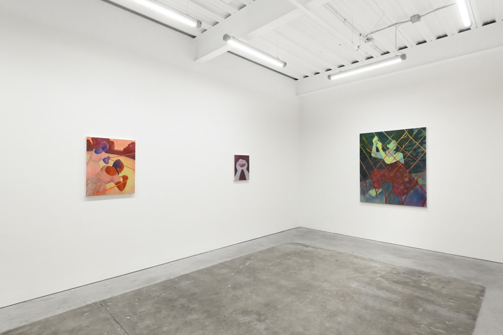 Installation view of artist Genevieve Cohn's exhibition 