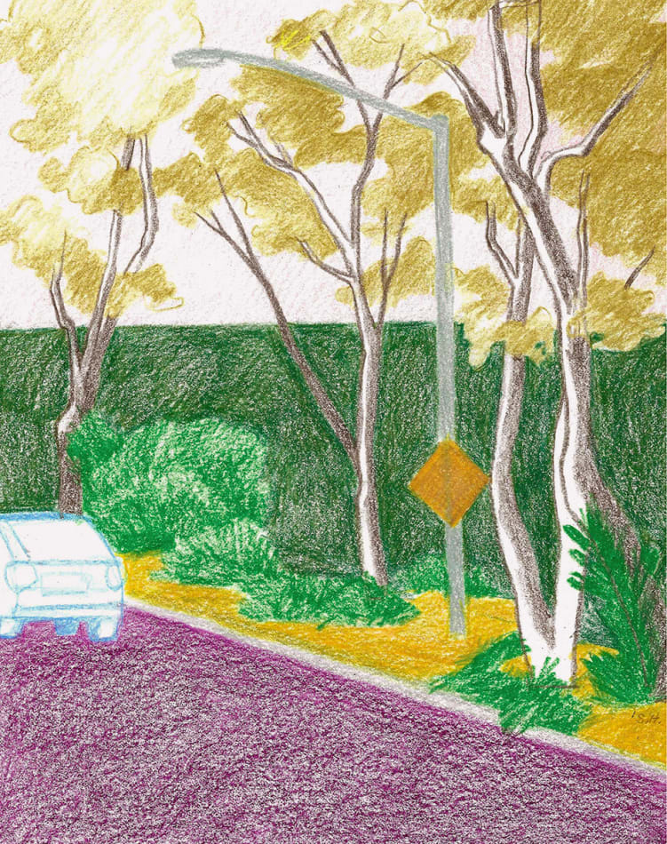 sketch or a purple road with trees along the side