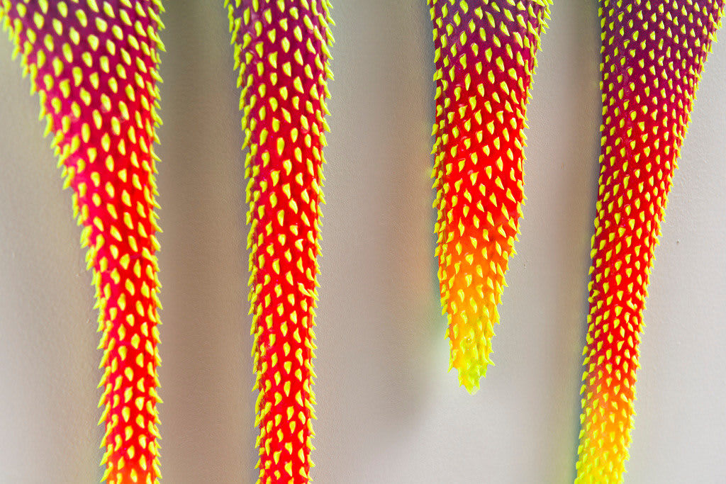 Dan Lam, In The Details, 2017