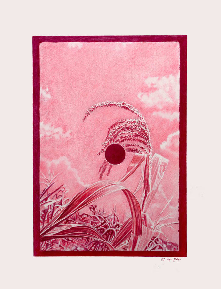 Joel Daniel Phillips red pencil drawing