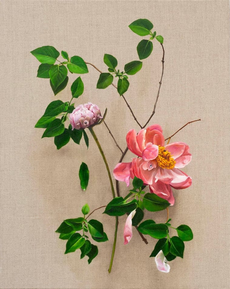 detail of pink flowers with green leaves and stems with subtle dog faces