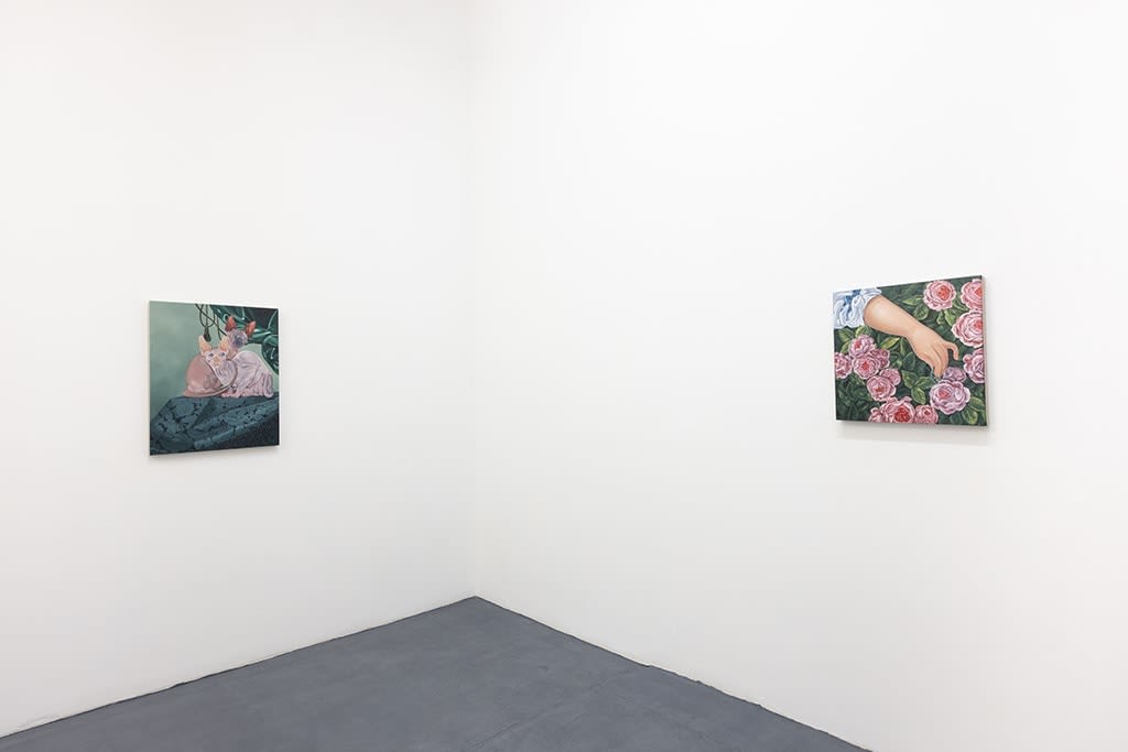 installation image of artwork