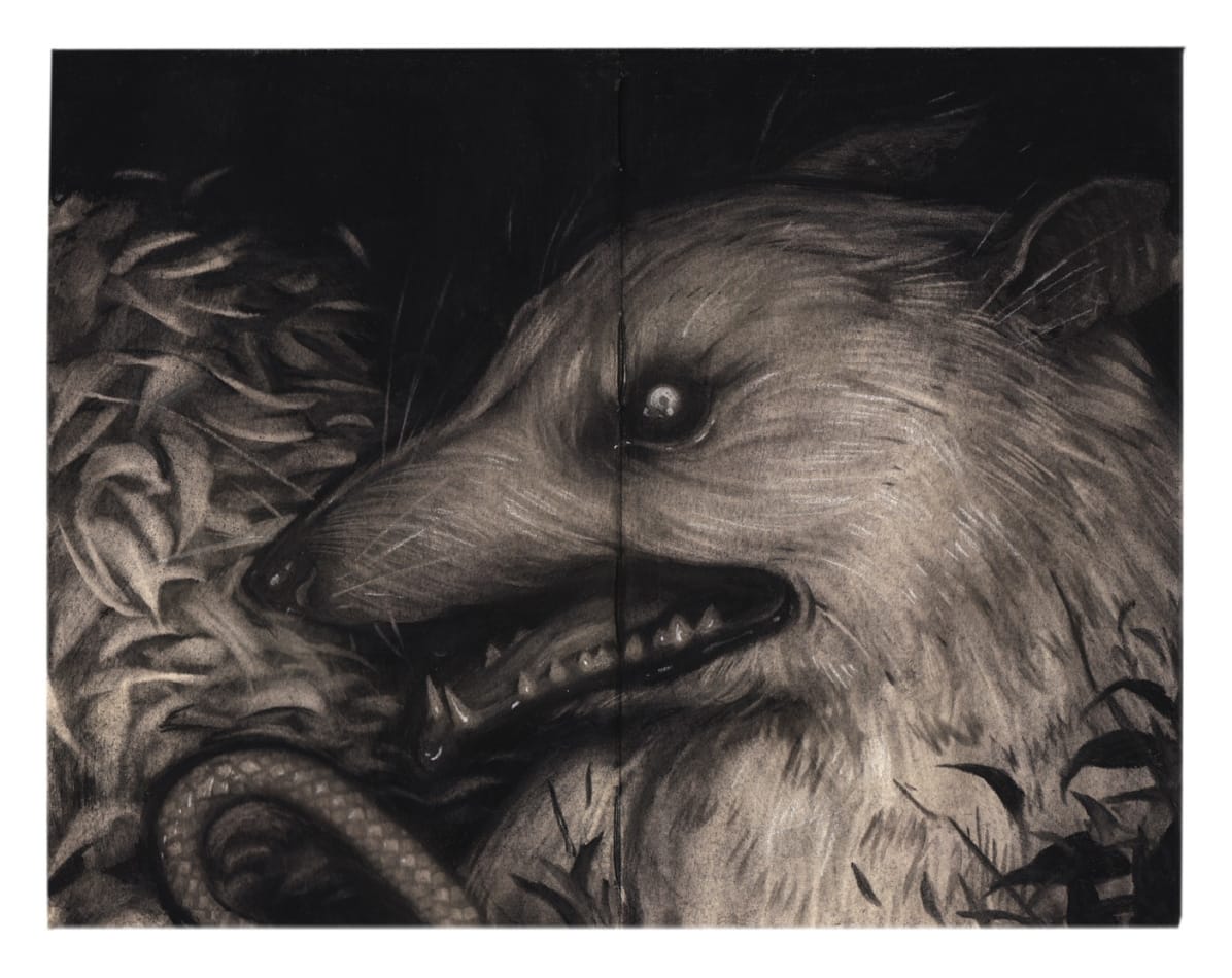 Sam Wolfe Connelly, Skittering Burrow, 2015