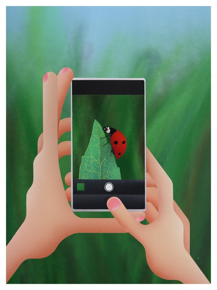 painting of someone taking a photo of a ladybug on their phone