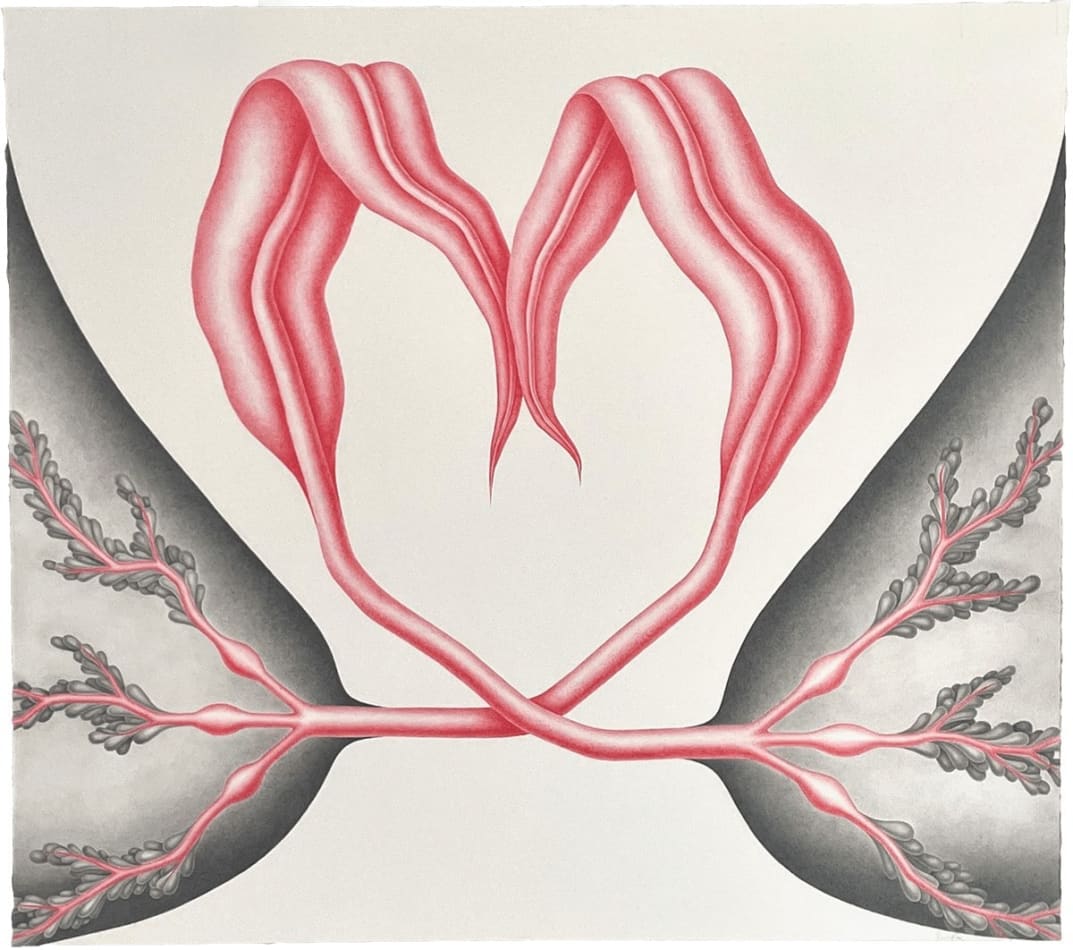 Devra Fox - pink and black graphite drawing of two plants growing from two side of the paper from two hills. Their leaves cross each other in between formed a heart shape.