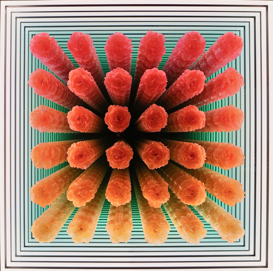 Peter Gronquist, 36 Peonies, 2019