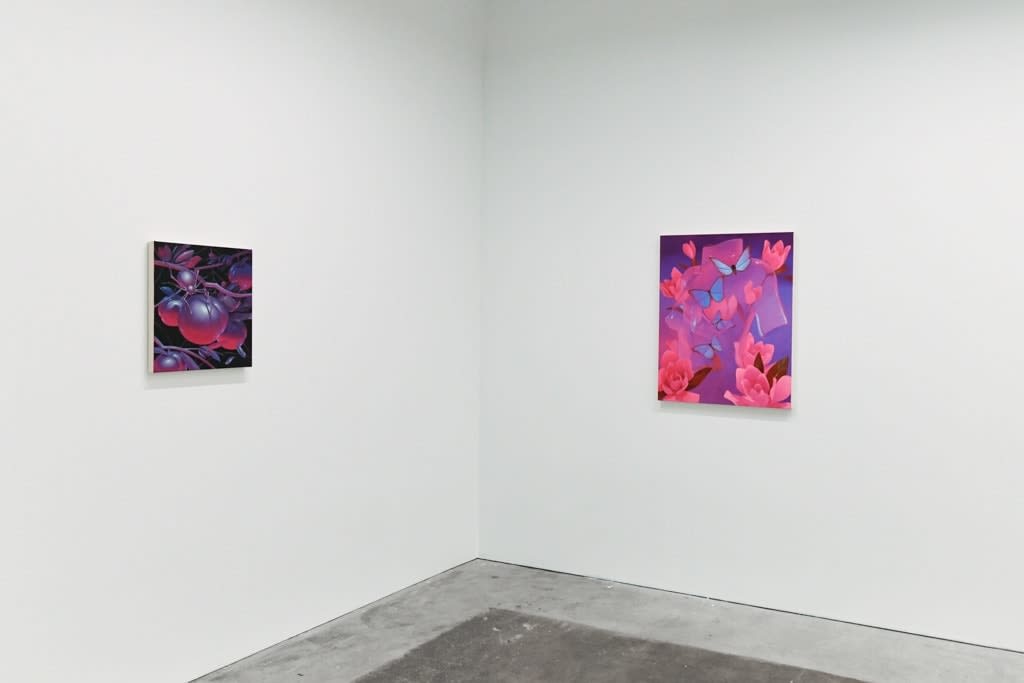 installation view of Megan Ellen MacDonald's exhibition