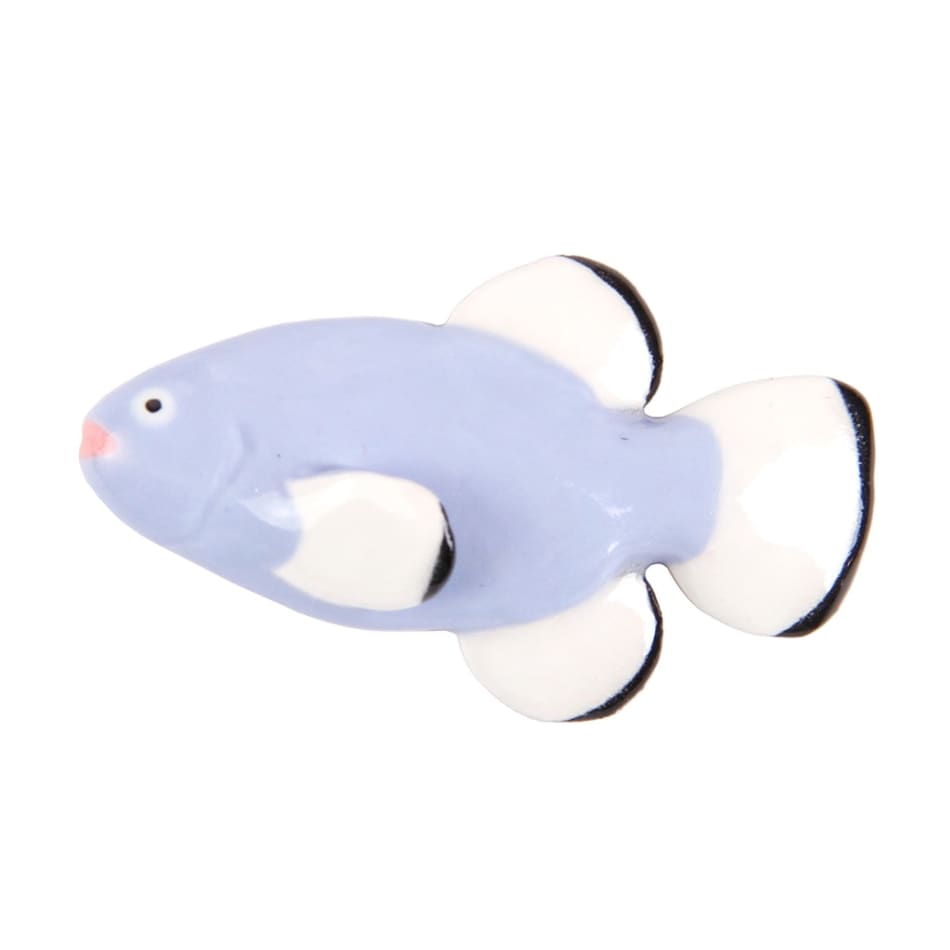 Lorien Stern, The Devil's Hole Pup Fish, 2020
