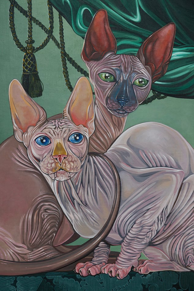 Detail photograph of two hairless cats cuddled by Sabrina Bockler