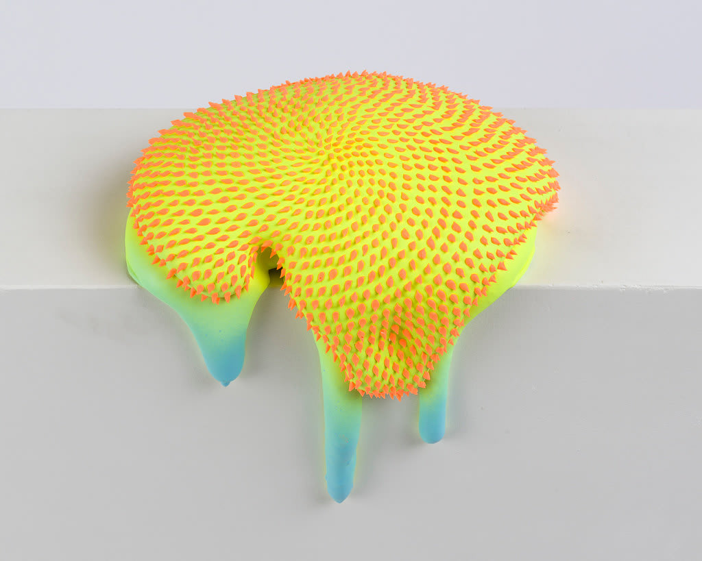 Dan Lam, Trying To Hide It, 2017