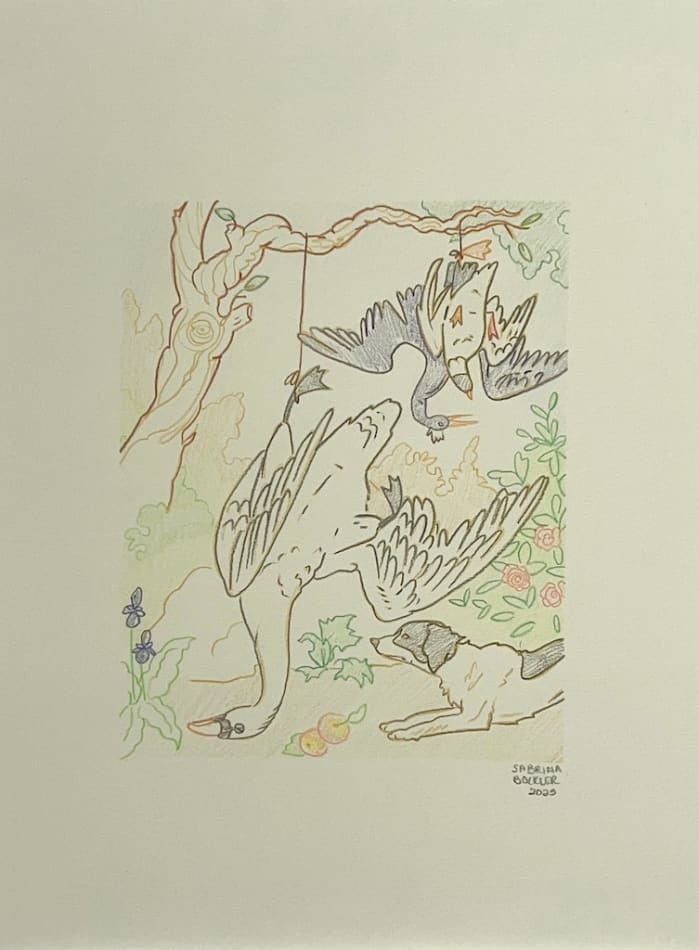 drawing of two birds in a tap with a dog sitting below them