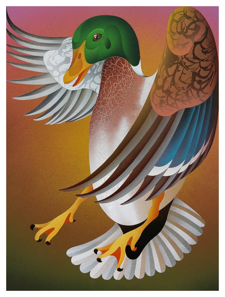 painting of a duck in mid flight