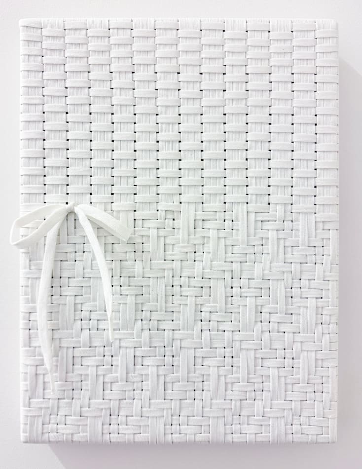 Didi Rojas Small shoelace weaving: half and half w bow on left side middle