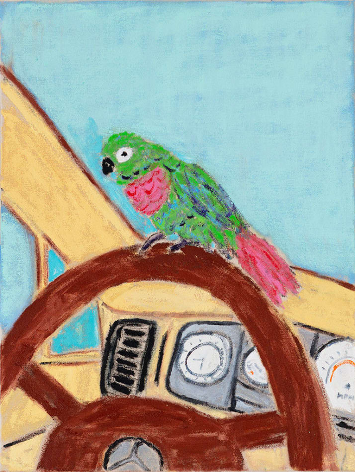 small colorful bird on the steering wheel of a car