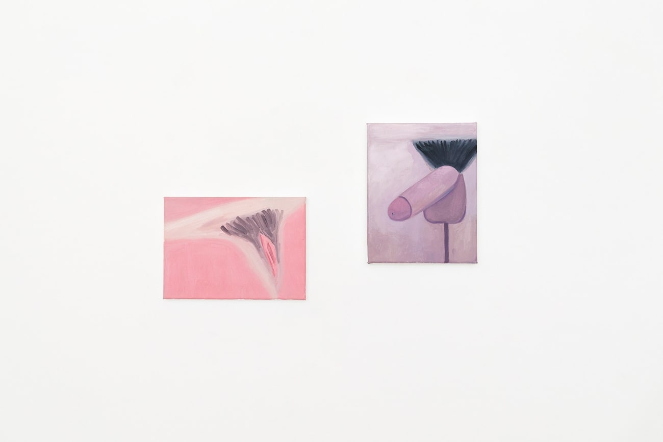 Corey K. Lamb - stylized, pink vulva and penis