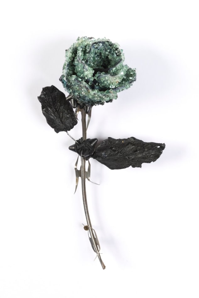 Lucien Shapiro, Rose with Leaves, 2017