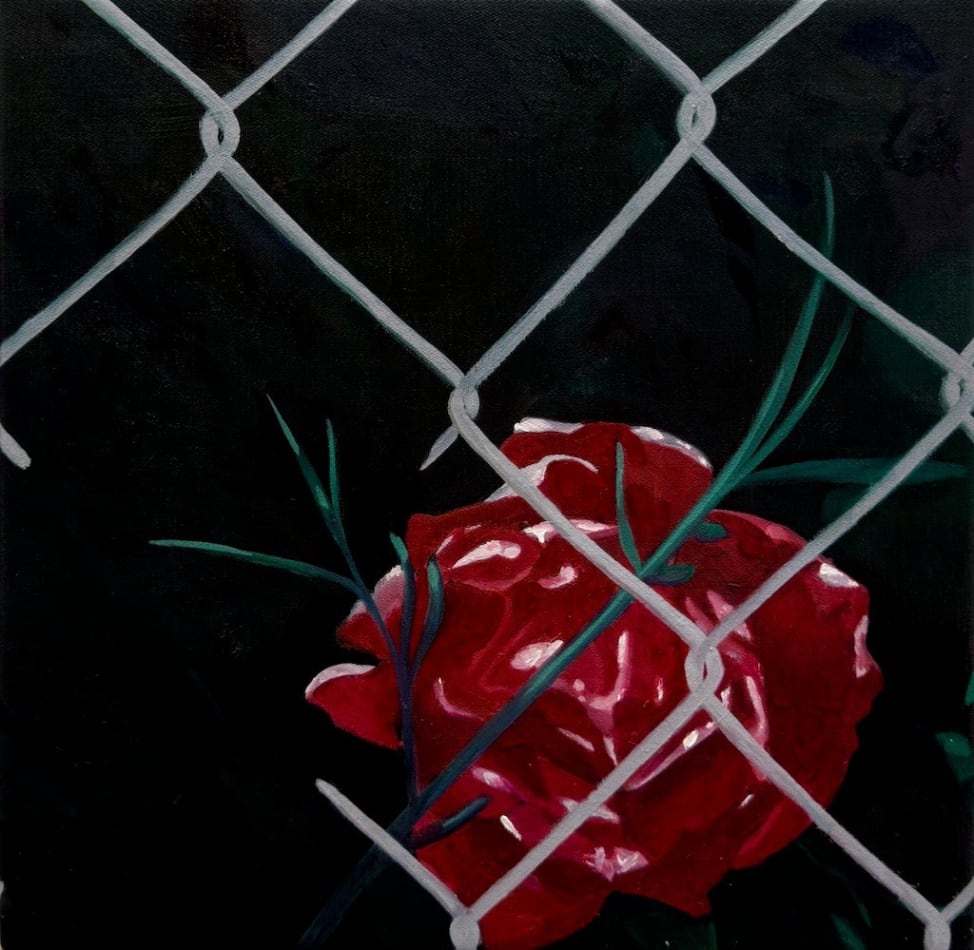 painting of a red flower behind a wire fence