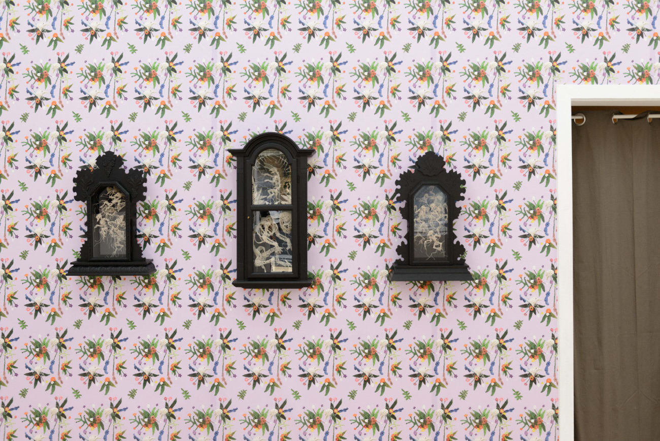 Caitlin McCormack, Boy Now, 2019