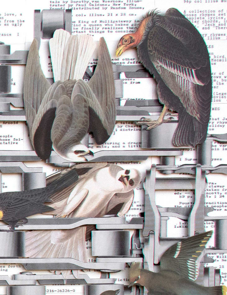 Hope Kroll, Fairy Tales, 2018