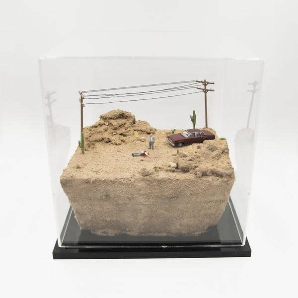 Abigail Goldman, Problem Solver, 2016