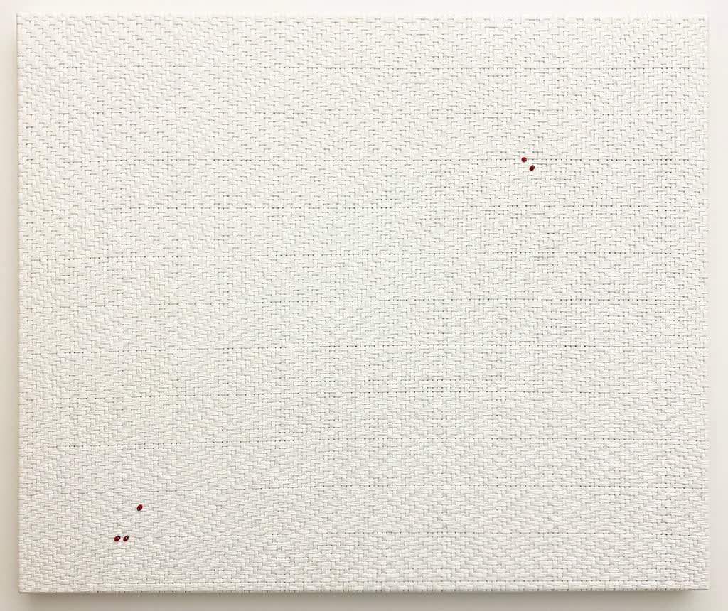 Didi Rojas, The feminine urge to say everything and nothing all at once, 2022-2024