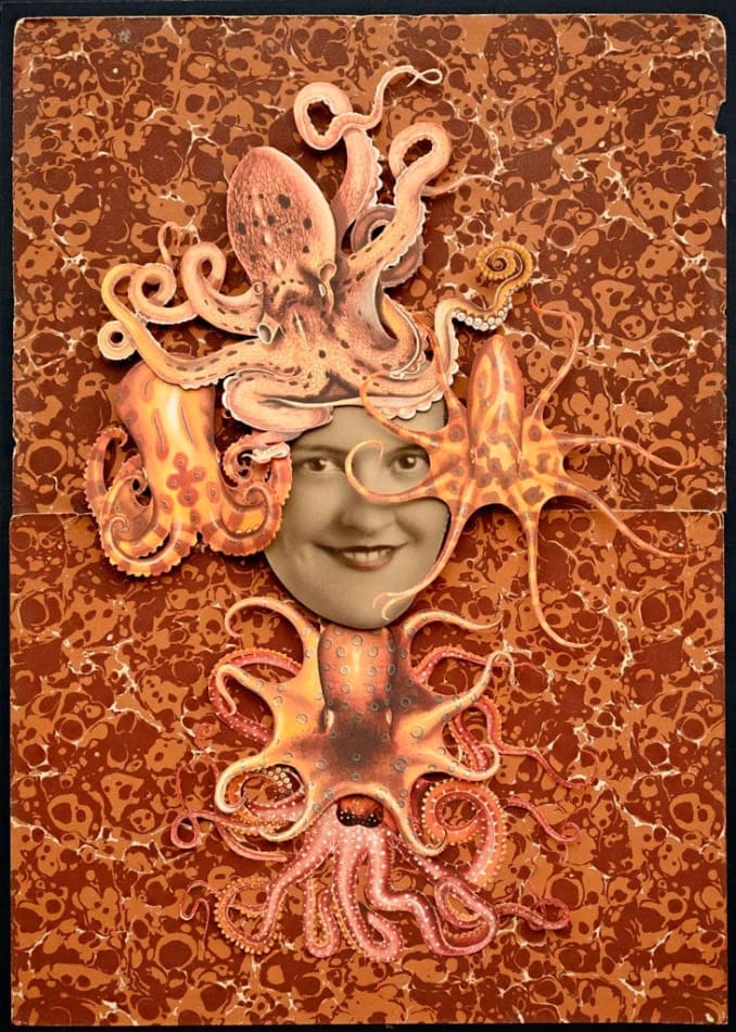 Hope Kroll, In Plain Sight, 2019