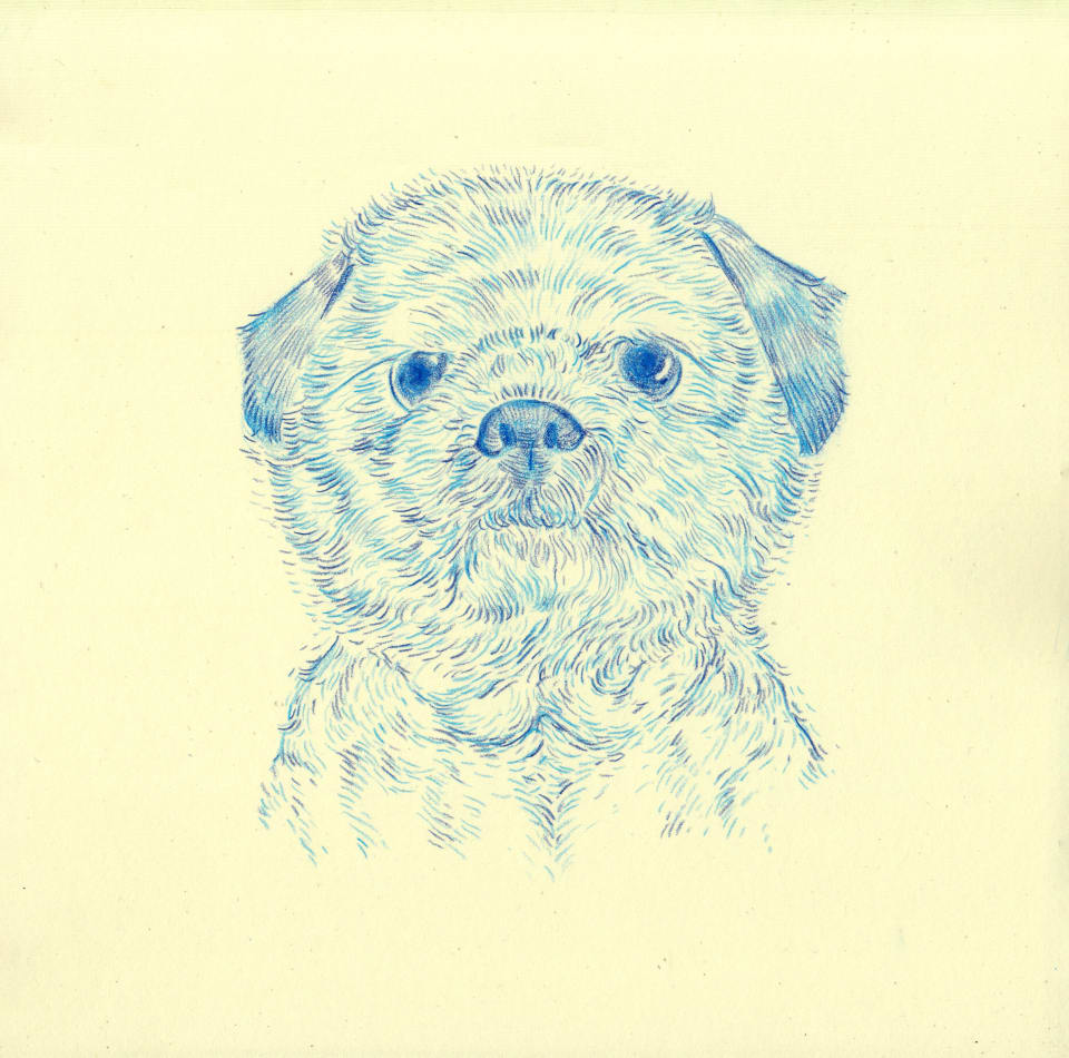 Drawing of a dog in blue on yellow paper