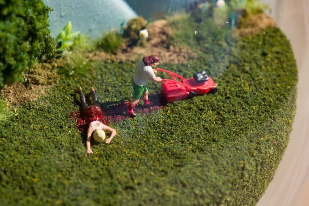 Abigail Goldman, Grass Is Always Greener, 2017