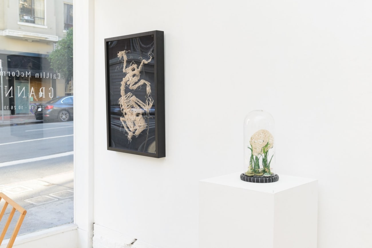 Caitlin McCormack, Grow Back, 2019
