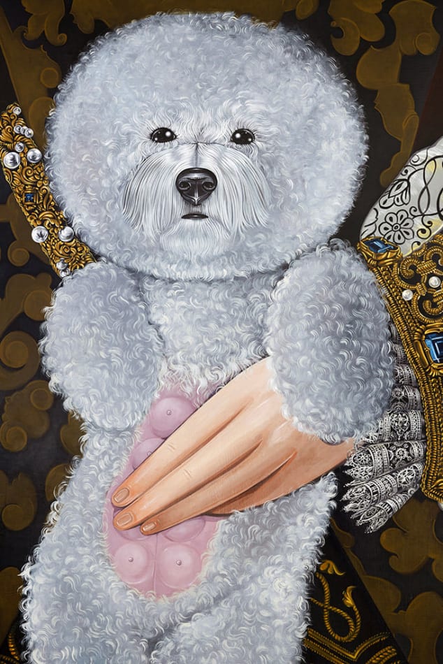 Detail photograph of the small fluffy white dog with a hand on its stomach by Sabrina Bockler