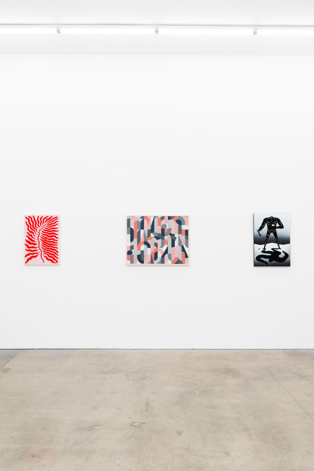 Installation view of Cleon Peterson's The Shadow at Hashimoto Contemporary LA