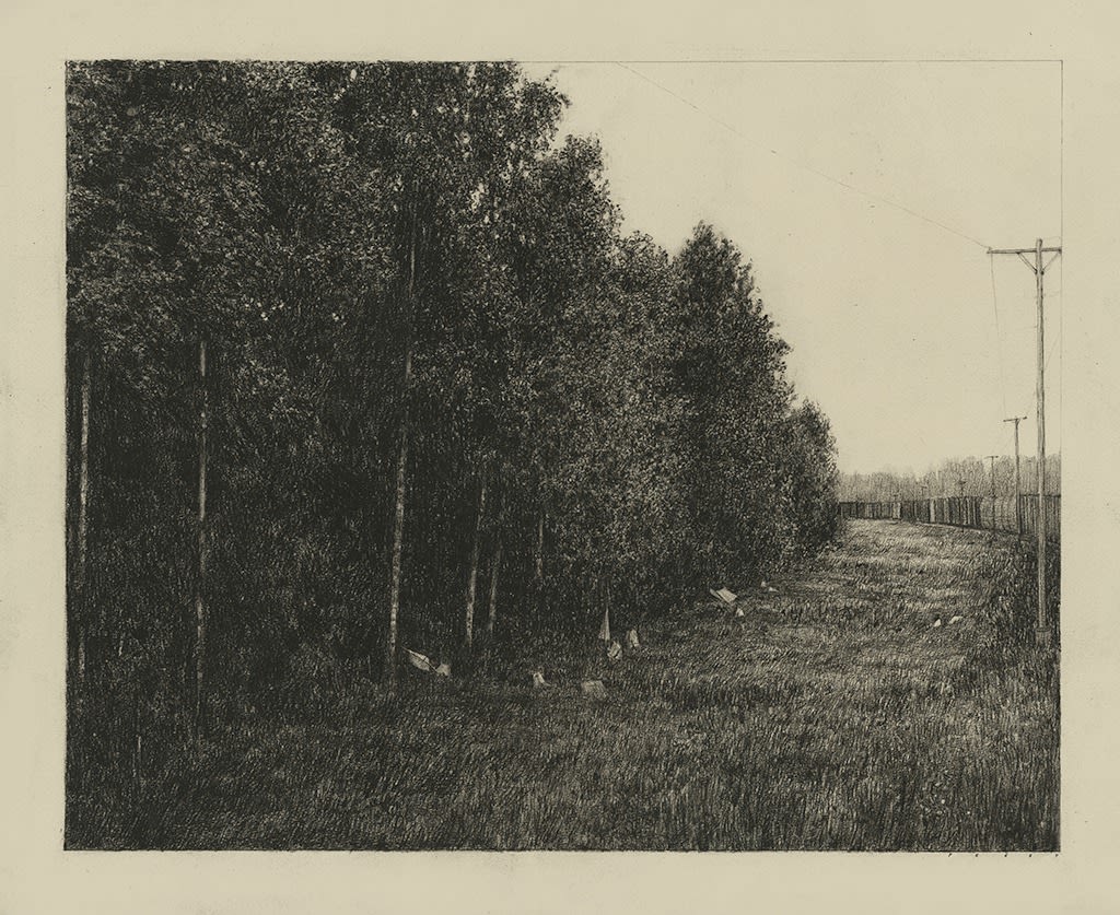 Pat Perry b&w drawing of trees