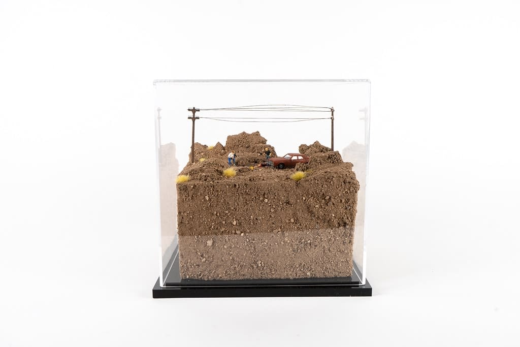 Abigail Goldman, Shallow Graves and Friends, 2019