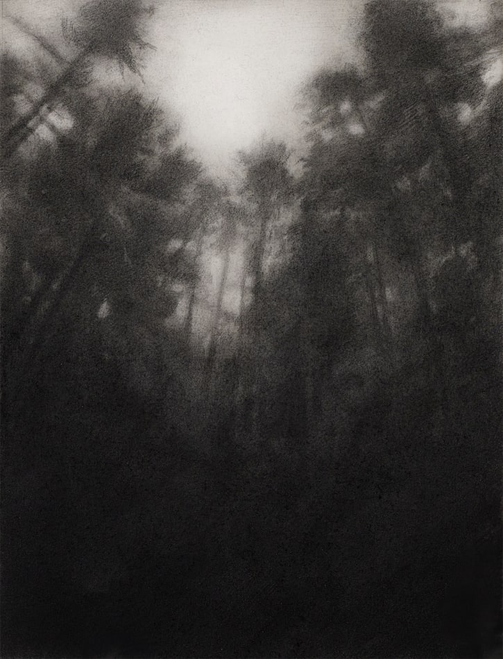 Zachary Oldenkamp, Prairie Grass, 2022