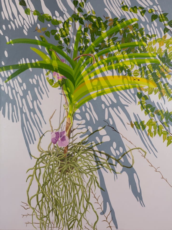 Natalia Juncadella painting of orchid, plant and roots, shadows