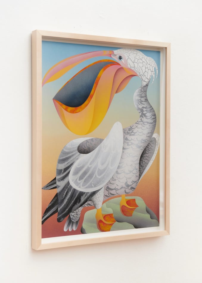 painting of a pelican bycasey gray