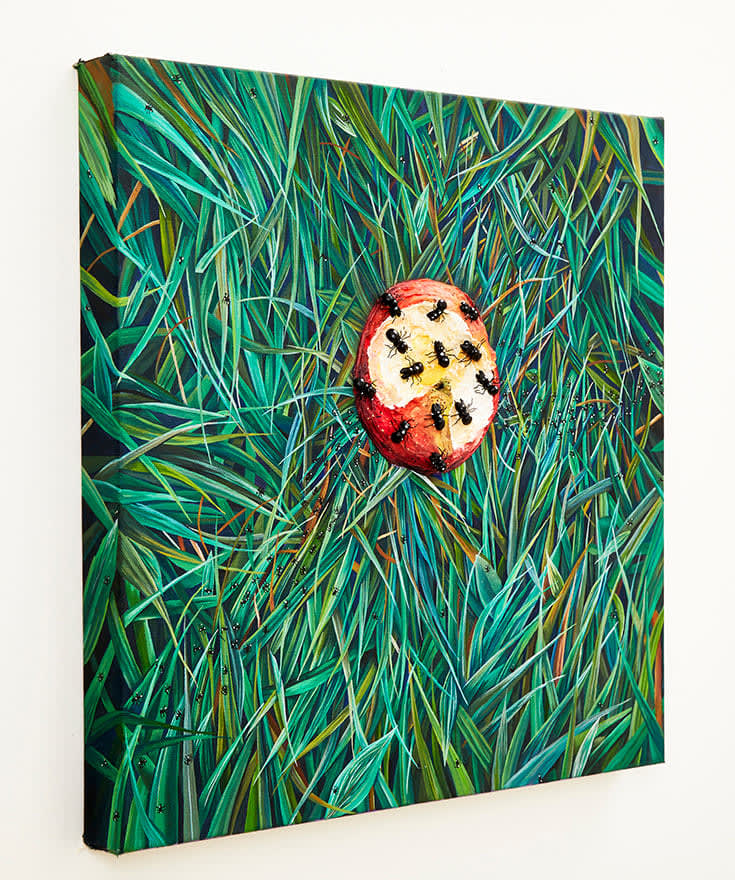 N Dyer painting of detailed grass with apple, a bit has been taken out of it and ants crawl on it
