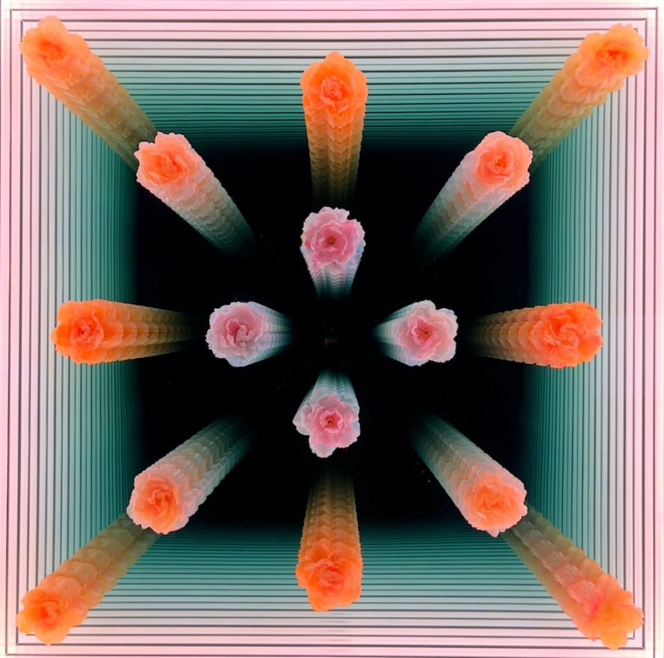 Peter Gronquist infinity mirror with pink and orange flowers