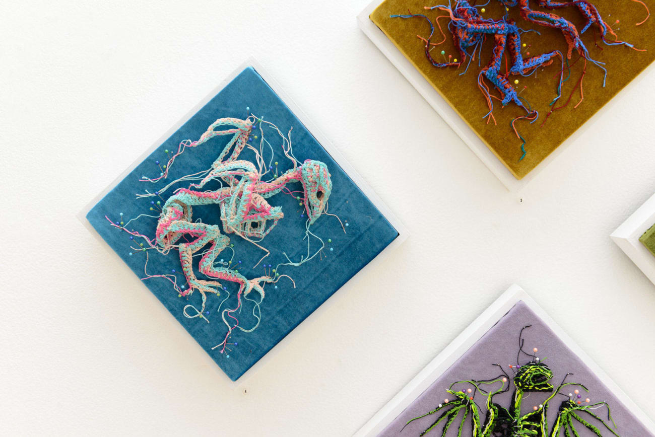 Caitlin McCormack, Agnes, 2019