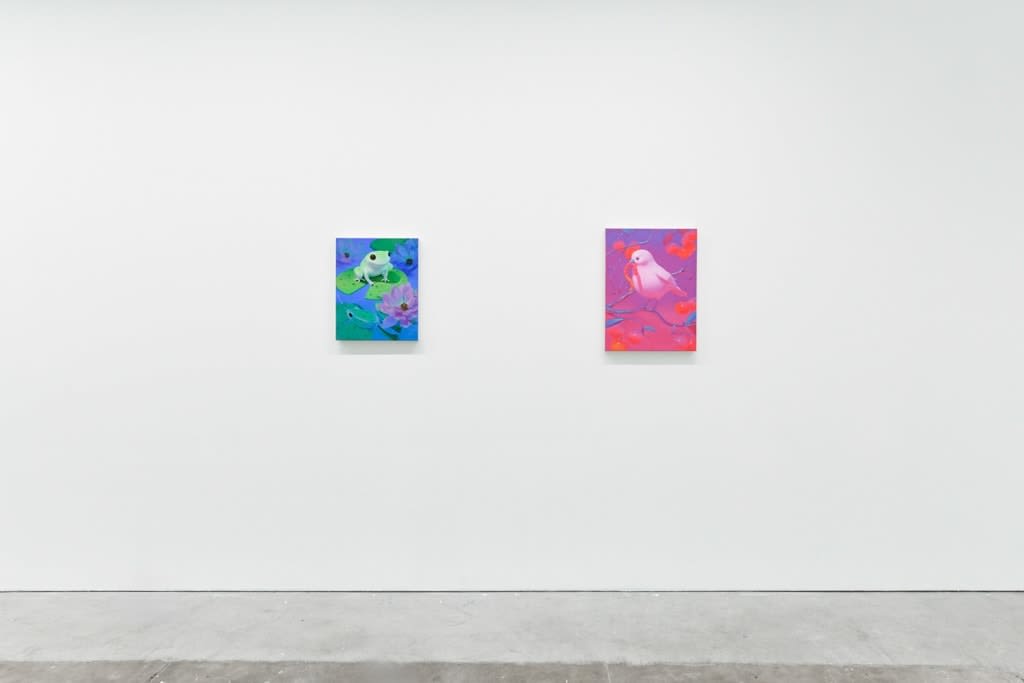 installation view of Megan Ellen MacDonald's exhibition 