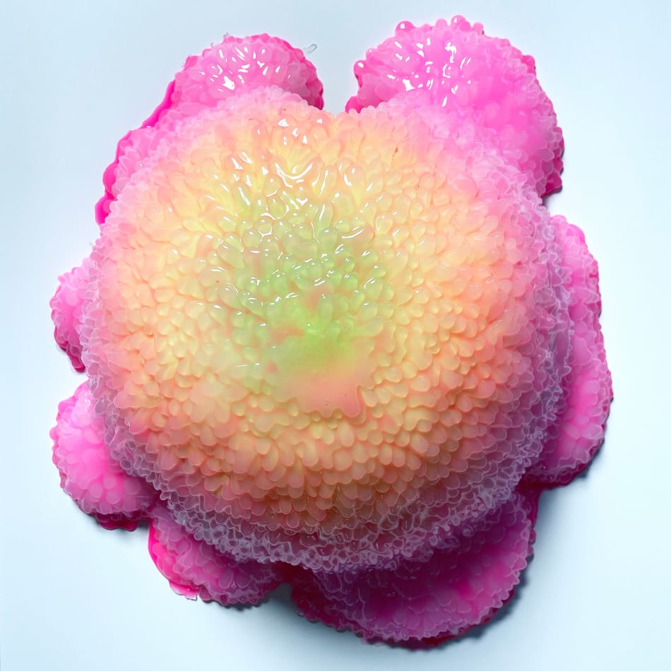 Dan Lam 