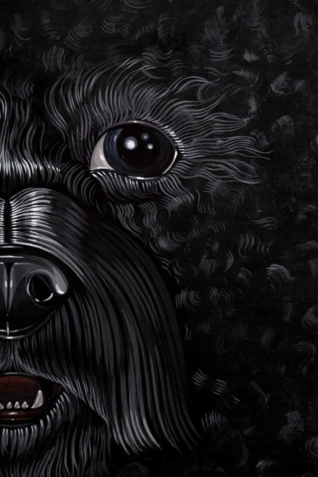 Detail photograph of the small black dog, focusing on its nose and eye by Sabrina Bockler