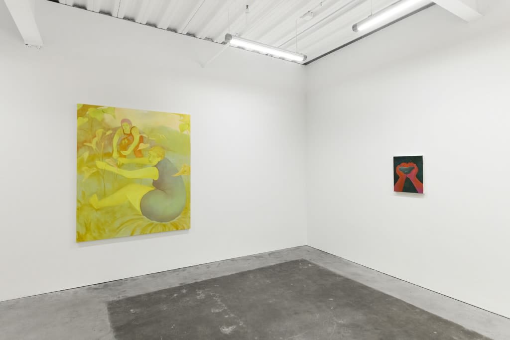 Installation view of artist Genevieve Cohn's exhibition 