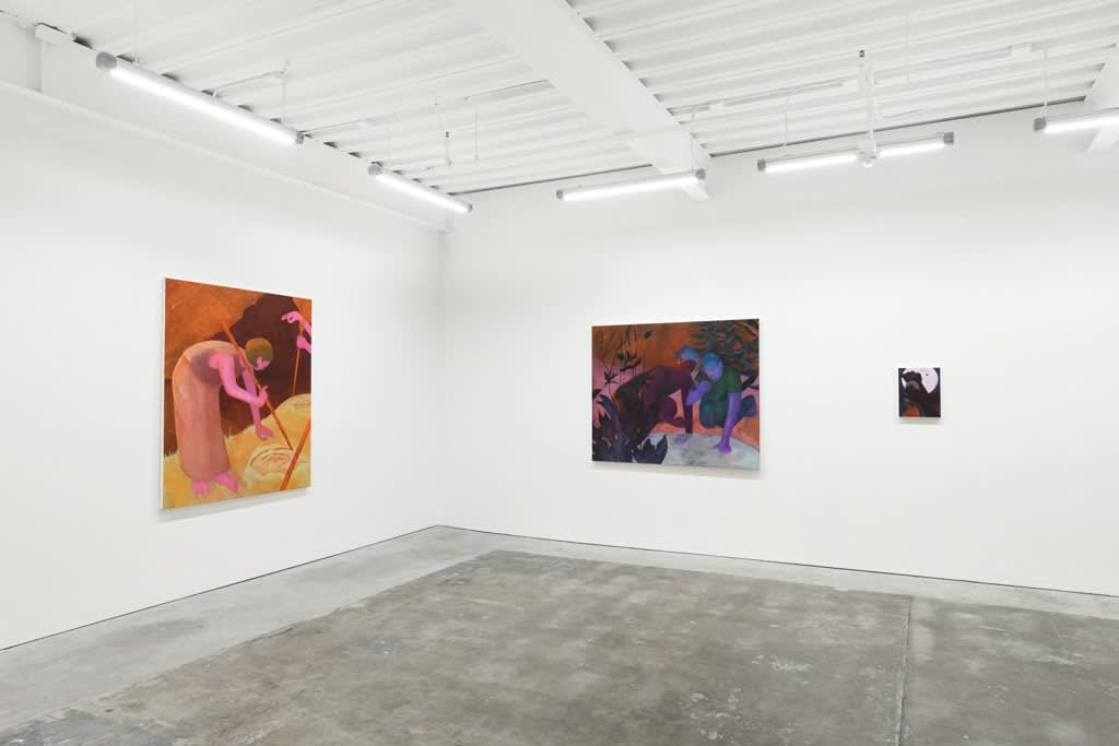 Installation view of artist Genevieve Cohn's exhibition 