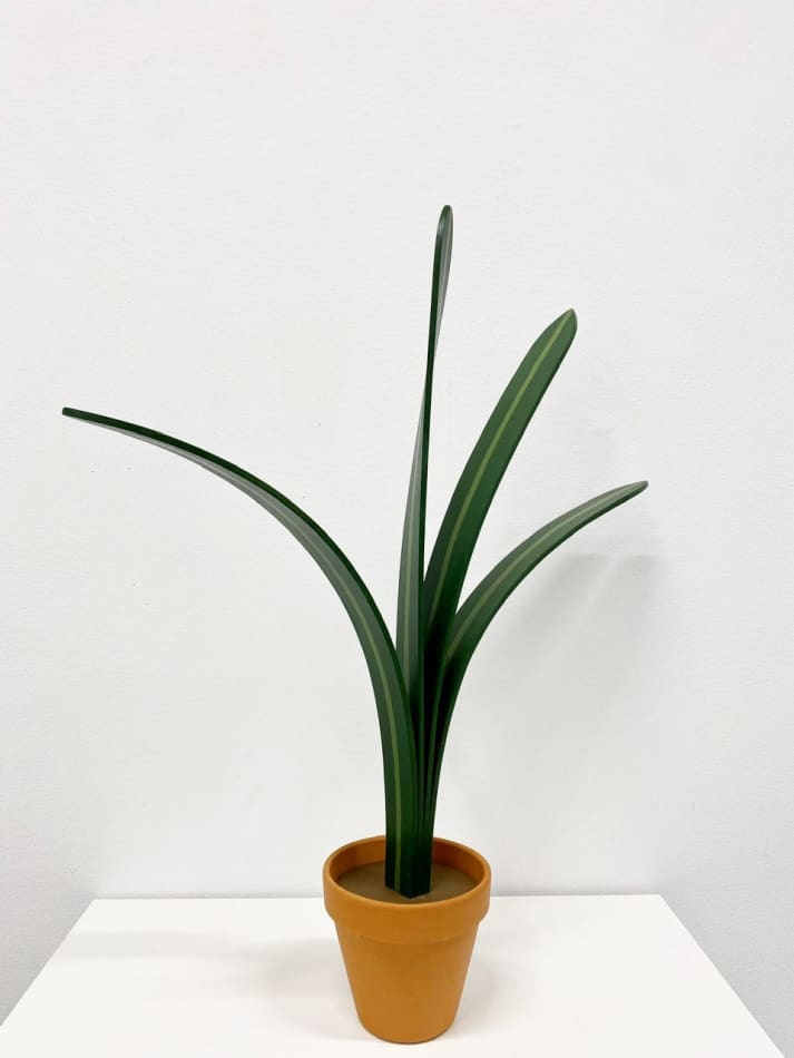 Jeff Canham, Untitled 202, 2023