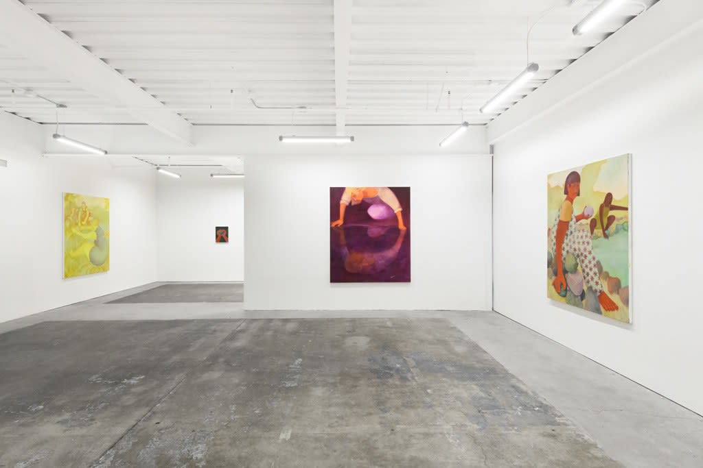 Installation view of artist Genevieve Cohn's exhibition 